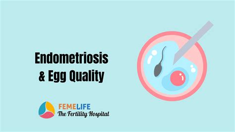 endometriosis and egg quality